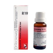 R19 Glandular Drops for Men Dr. Reckeweg