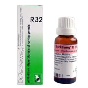 R32 Excessive Perspiration Dr. Reckeweg