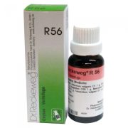 R56 Worms Drops Dr. Reckeweg
